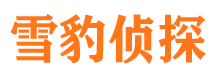 河北区市侦探公司